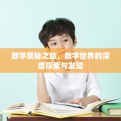 數(shù)學(xué)奧秘之旅，數(shù)字世界的深度探索與發(fā)現(xiàn)