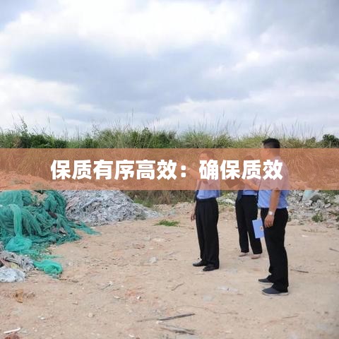 保質(zhì)有序高效：確保質(zhì)效 