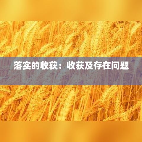落實(shí)的收獲：收獲及存在問題 
