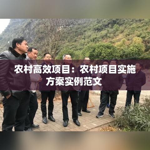 農村高效項目：農村項目實施方案實例范文 