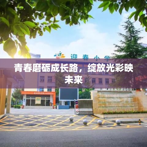 青春磨礪成長路，綻放光彩映未來