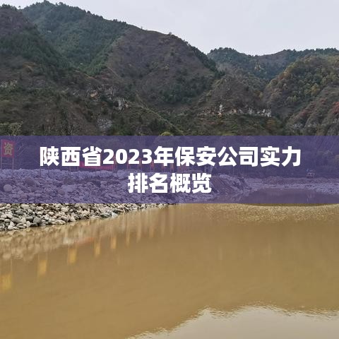 陜西省2023年保安公司實(shí)力排名概覽