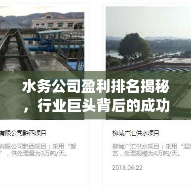 水務公司盈利排名揭秘，行業(yè)巨頭背后的成功秘訣大揭秘！