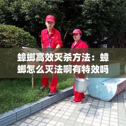 蟑螂高效滅殺方法：蟑螂怎么滅法啊有特效嗎 