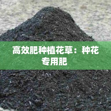 高效肥種植花草：種花專用肥 