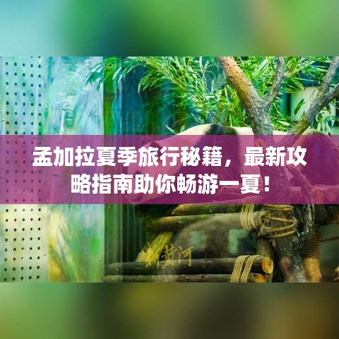 孟加拉夏季旅行秘籍，最新攻略指南助你暢游一夏！