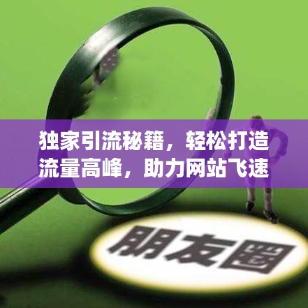 獨家引流秘籍，輕松打造流量高峰，助力網(wǎng)站飛速增長！