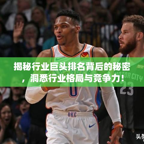 揭秘行業(yè)巨頭排名背后的秘密，洞悉行業(yè)格局與競爭力！
