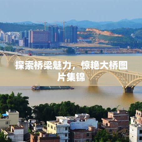 探索橋梁魅力，驚艷大橋圖片集錦