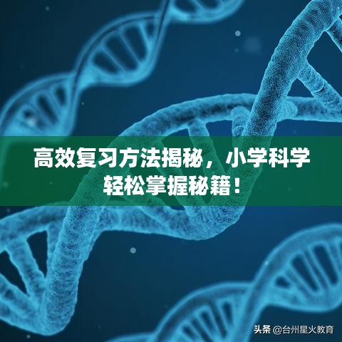 高效復(fù)習(xí)方法揭秘，小學(xué)科學(xué)輕松掌握秘籍！