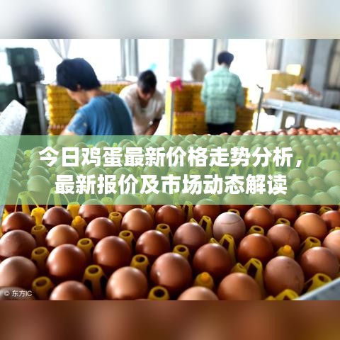 今日雞蛋最新價(jià)格走勢(shì)分析，最新報(bào)價(jià)及市場(chǎng)動(dòng)態(tài)解讀