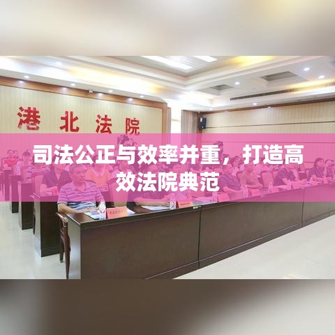 司法公正與效率并重，打造高效法院典范