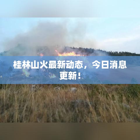 桂林山火最新動(dòng)態(tài)，今日消息更新！