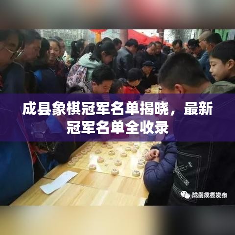 成縣象棋冠軍名單揭曉，最新冠軍名單全收錄