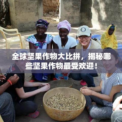 全球堅(jiān)果作物大比拼，揭秘哪些堅(jiān)果作物最受歡迎！
