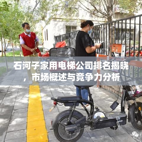 石河子家用電梯公司排名揭曉，市場概述與競爭力分析