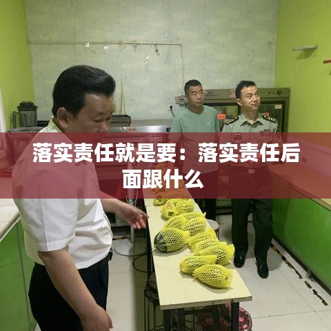 落實責任就是要：落實責任后面跟什么 