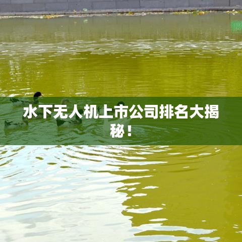 水下無(wú)人機(jī)上市公司排名大揭秘！