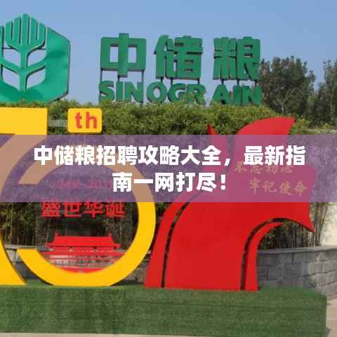 中儲糧招聘攻略大全，最新指南一網(wǎng)打盡！
