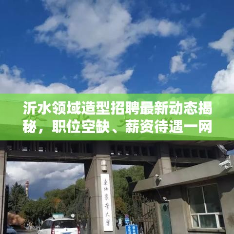 沂水領(lǐng)域造型招聘最新動(dòng)態(tài)揭秘，職位空缺、薪資待遇一網(wǎng)打盡