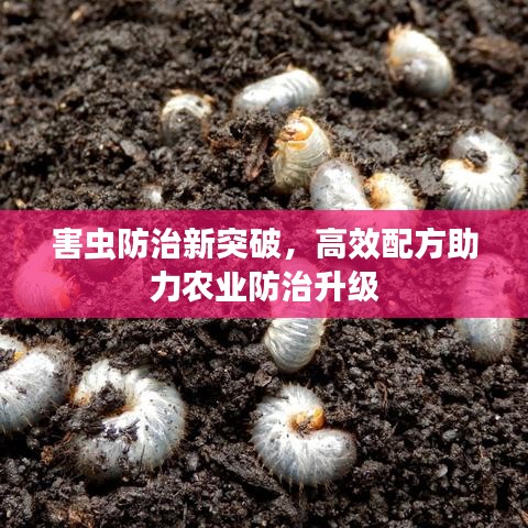 害蟲防治新突破，高效配方助力農(nóng)業(yè)防治升級