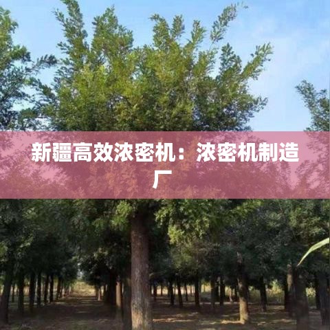 新疆高效濃密機：濃密機制造廠 