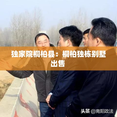 獨(dú)家院桐柏縣：桐柏獨(dú)棟別墅出售 