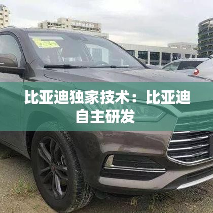比亞迪獨(dú)家技術(shù)：比亞迪自主研發(fā) 