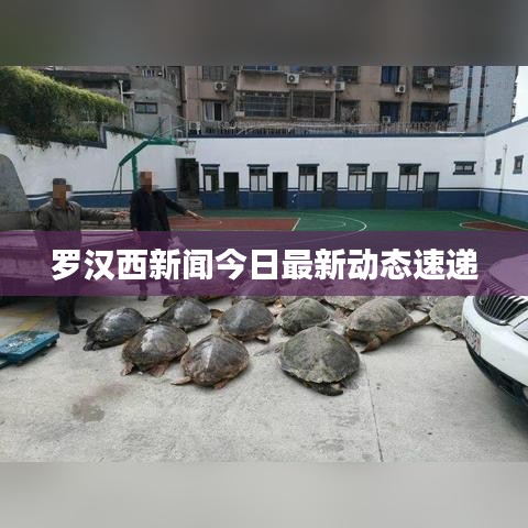 羅漢西新聞今日最新動(dòng)態(tài)速遞