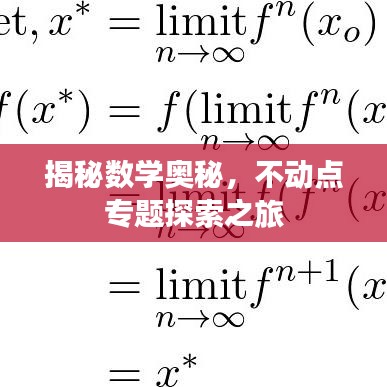 揭秘數(shù)學(xué)奧秘，不動點專題探索之旅