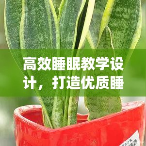 高效睡眠教學(xué)設(shè)計，打造優(yōu)質(zhì)睡眠模式，提升身心健康質(zhì)量
