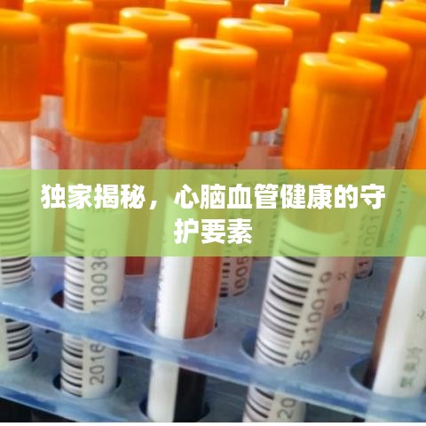 獨家揭秘，心腦血管健康的守護(hù)要素