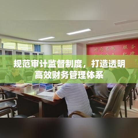 規(guī)范審計監(jiān)督制度，打造透明高效財務(wù)管理體系