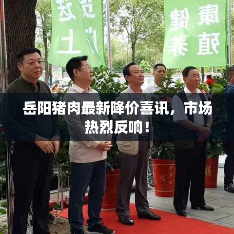岳陽豬肉最新降價喜訊，市場熱烈反響！