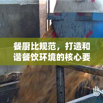 餐廚比規(guī)范，打造和諧餐飲環(huán)境的核心要素