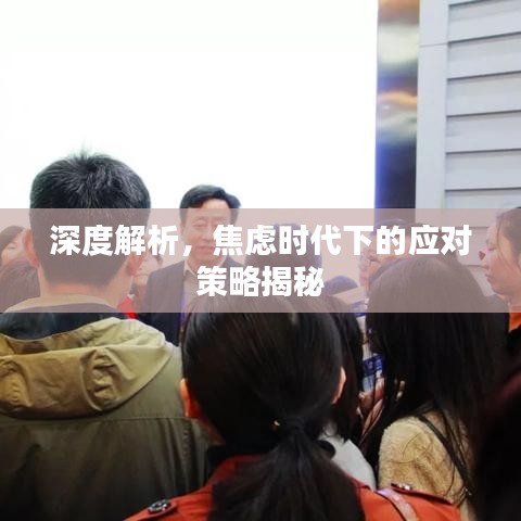 深度解析，焦慮時代下的應(yīng)對策略揭秘