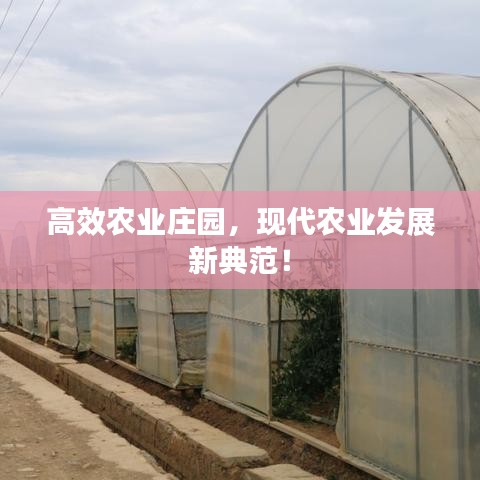 高效農(nóng)業(yè)莊園，現(xiàn)代農(nóng)業(yè)發(fā)展新典范！