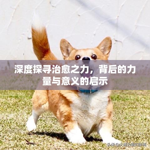 深度探尋治愈之力，背后的力量與意義的啟示