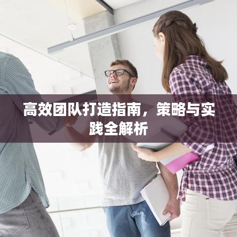 高效團隊打造指南，策略與實踐全解析