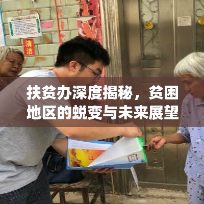 扶貧辦深度揭秘，貧困地區(qū)的蛻變與未來展望
