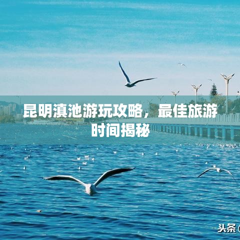 昆明滇池游玩攻略，最佳旅游時間揭秘