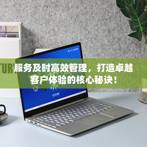 服務(wù)及時(shí)高效管理，打造卓越客戶體驗(yàn)的核心秘訣！