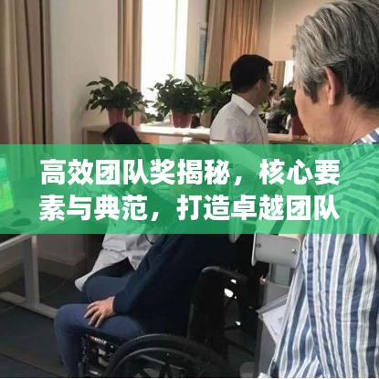 高效團隊獎揭秘，核心要素與典范，打造卓越團隊的秘訣！