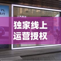 獨(dú)家線上運(yùn)營授權(quán)合同揭秘，法律保障下的合作雙贏新篇章！