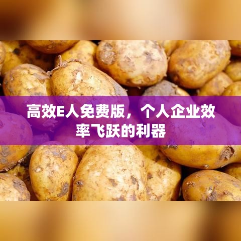高效E人免費版，個人企業(yè)效率飛躍的利器