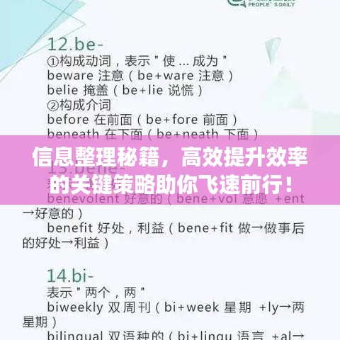 信息整理秘籍，高效提升效率的關(guān)鍵策略助你飛速前行！