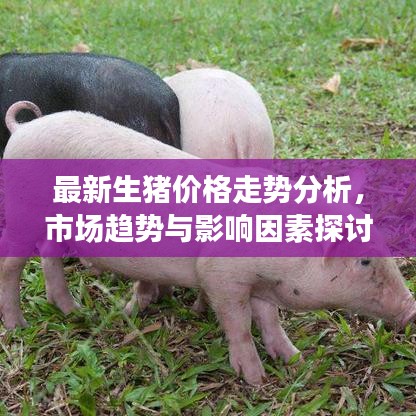 無拘無束 第3頁