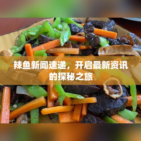 辣魚新聞速遞，開啟最新資訊的探秘之旅