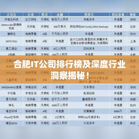 合肥IT公司排行榜及深度行業(yè)洞察揭秘！