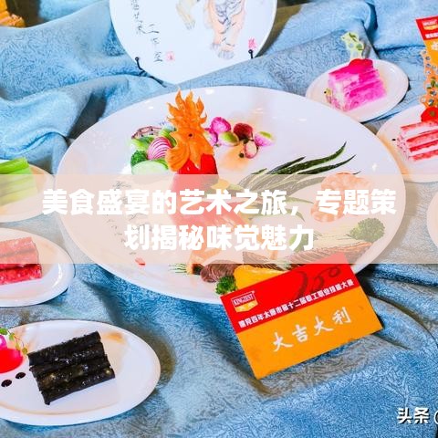 美食盛宴的藝術(shù)之旅，專題策劃揭秘味覺魅力